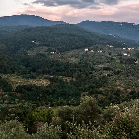 Fattoria Di Caticciano, Elegante Affittacamere Relax E Natura Vicino Firenze Guest house Pelago