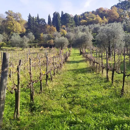 Fattoria Di Caticciano, Elegante Affittacamere Relax E Natura Vicino Firenze *